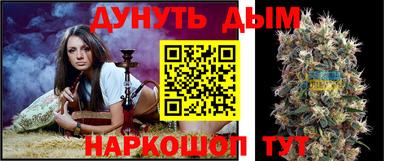 гашик Гусев
